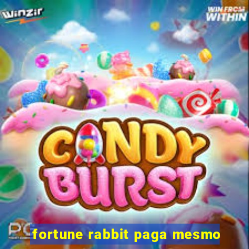 fortune rabbit paga mesmo